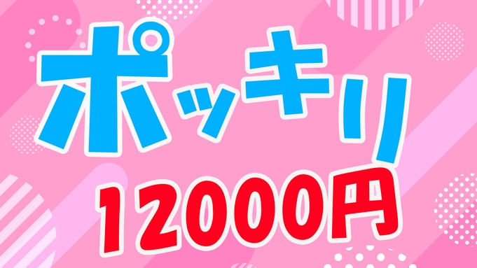 【2泊〜連泊限定】素泊まり12，000円ポッキリ♪駅近7分だから箱根＆熱海の周遊に便利☆温泉貸切可能